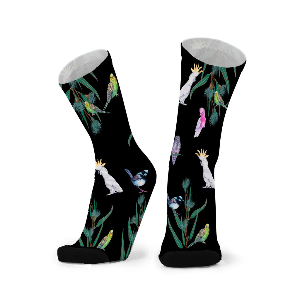 Aussie Aviary Sox