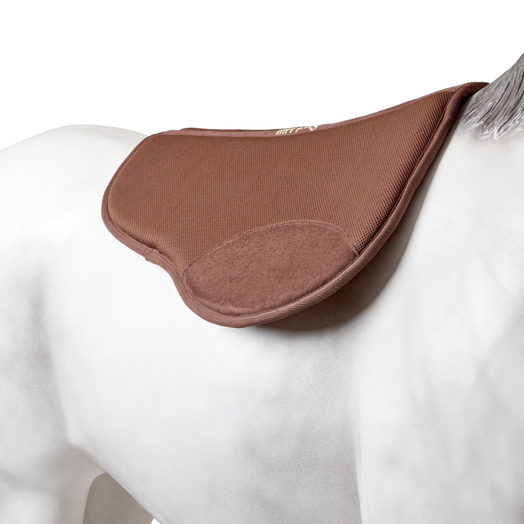 https://cdn.shopify.com/s/files/1/0563/8035/8816/products/100000011815_1.jpg?v=1746678391