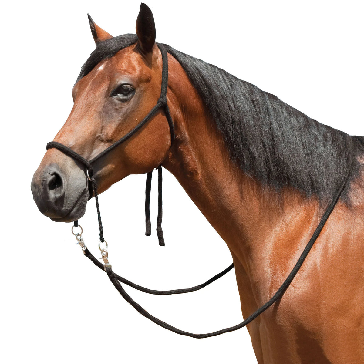Ezy Ride Bitless Bridle Braided Brush Nylon Black 9 ft Reins