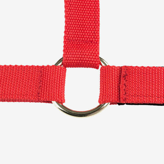 Horze Open Nose Halter