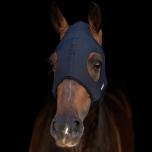 Lami-Cell Come Best Titanium Hood No Ears