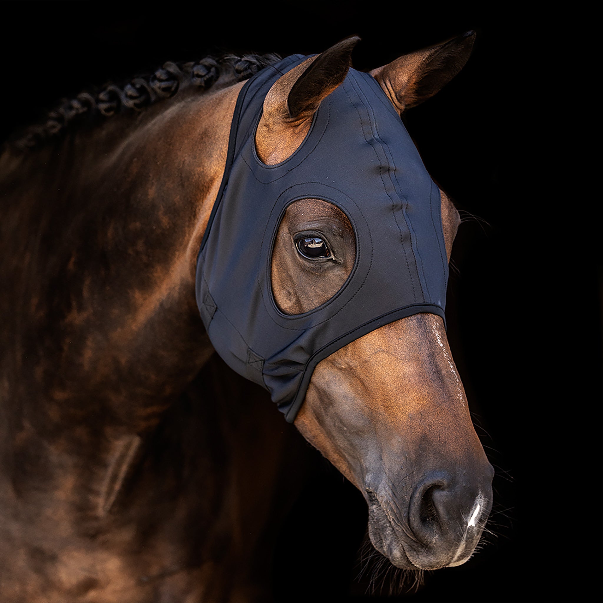 Lami-Cell Come Best Titanium Hood No Ears