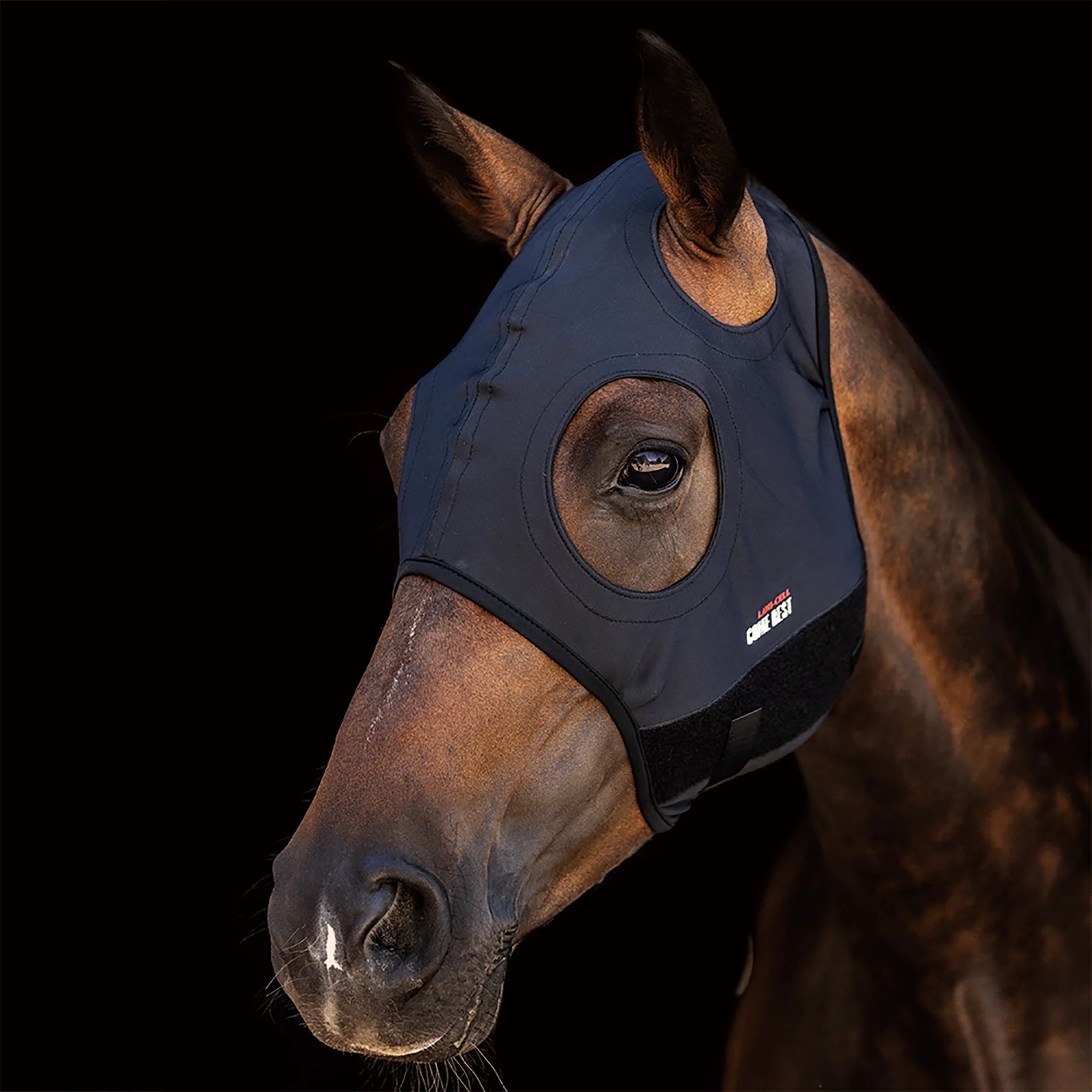 Lami-Cell Come Best Titanium Hood No Ears
