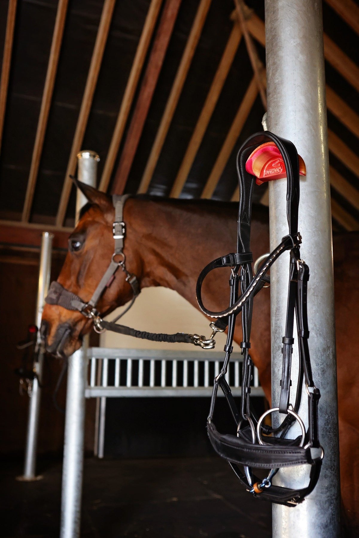 EquiHook Shiny