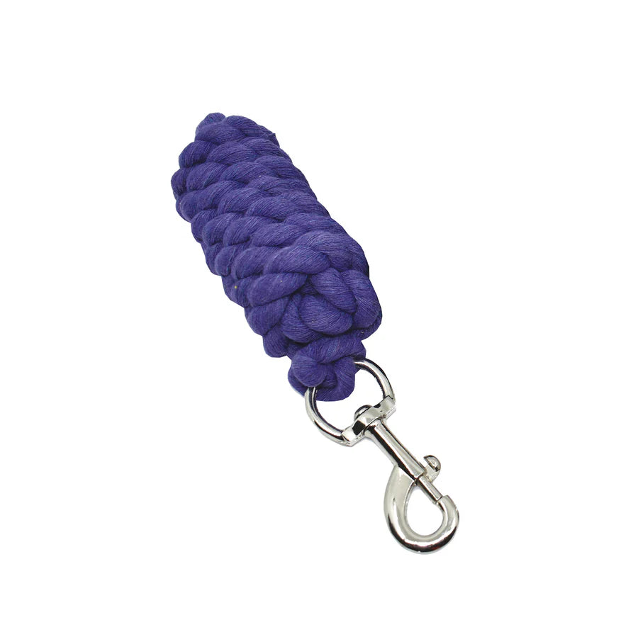 Academy Lead Brass Snap 2 Metres Purple