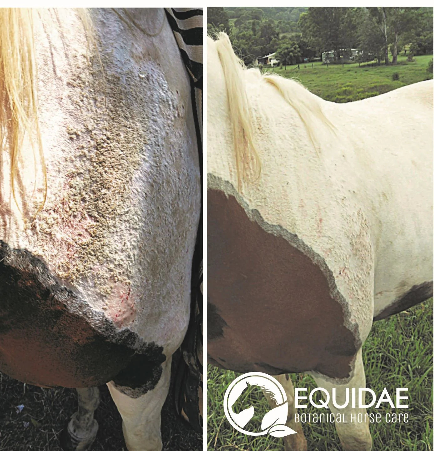 Equidae Soothing & Calm Aloe Vera Gel 250ml