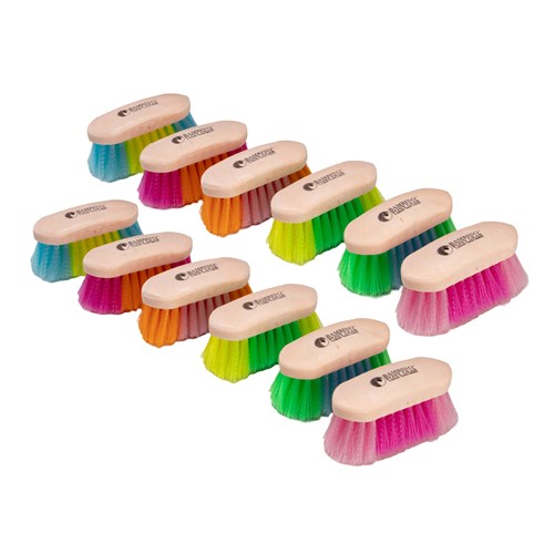 Bambino Small Dandy Brush (Assorted Colours)