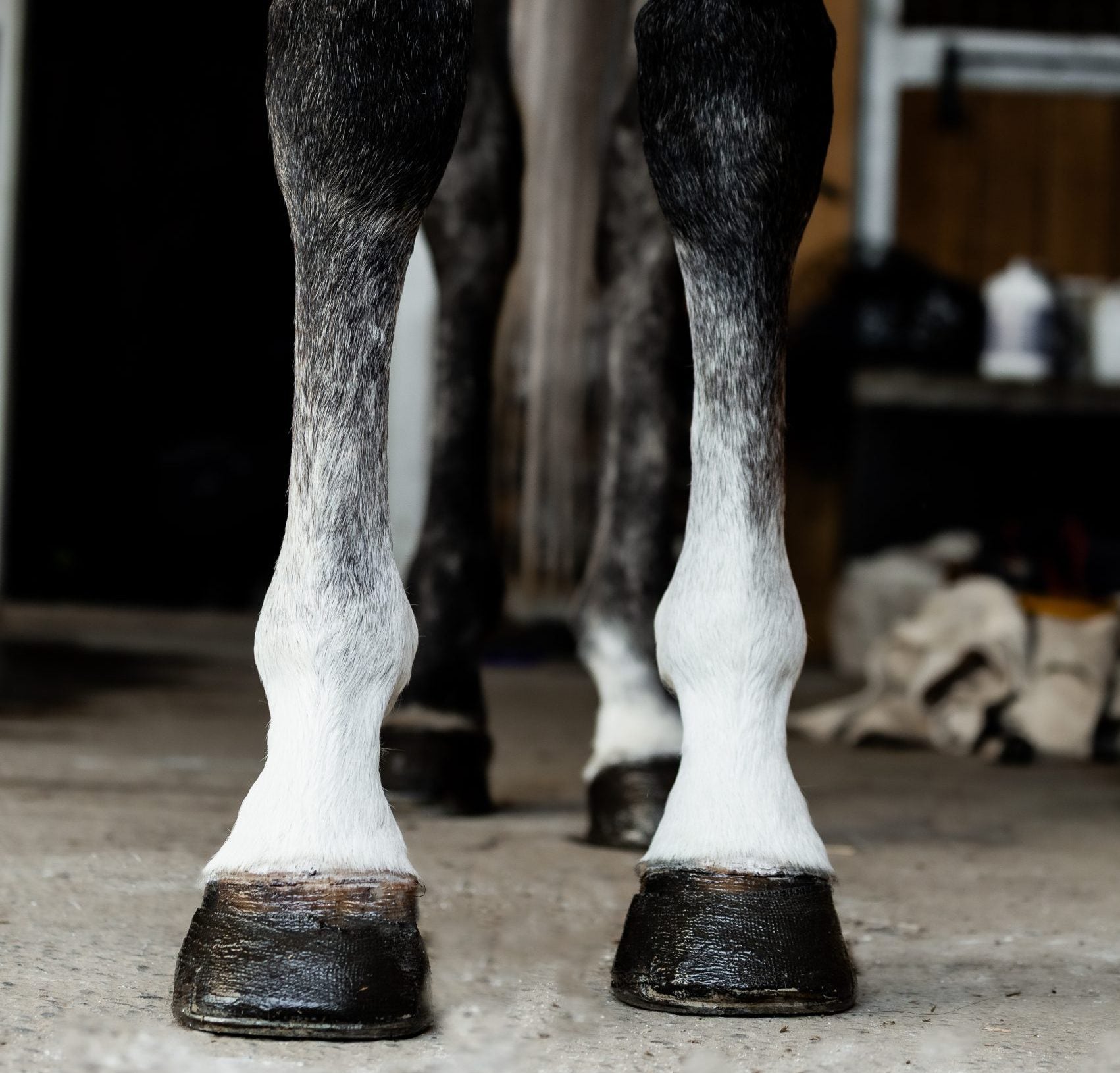 NRG Bright White Powder 300gm