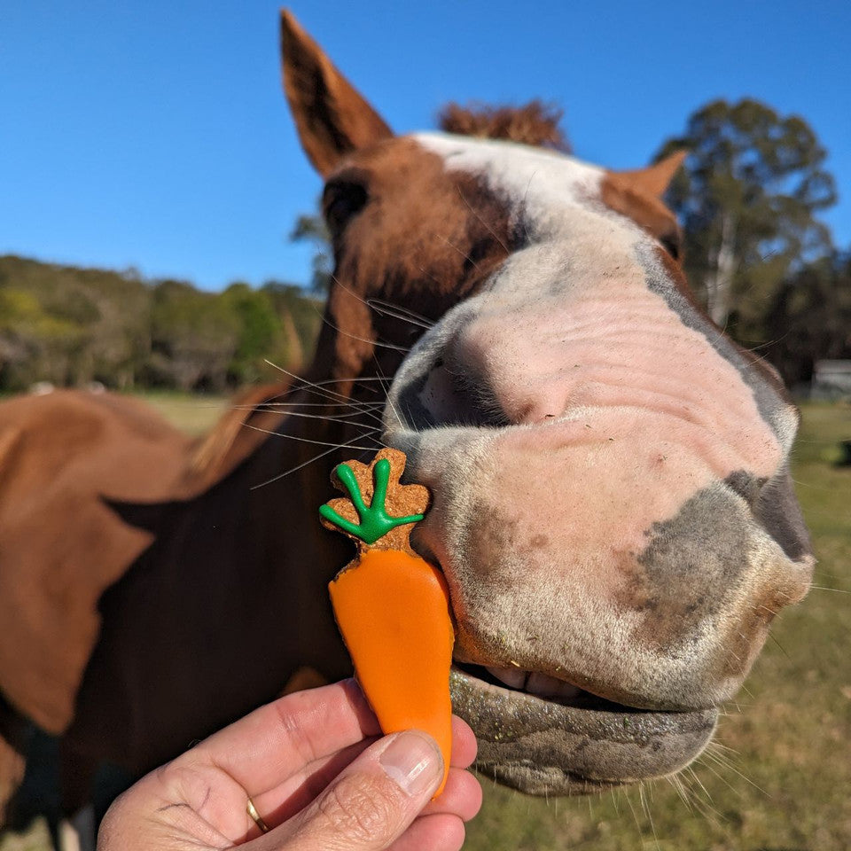 Huds and Toke Carrot Cookies 4pce