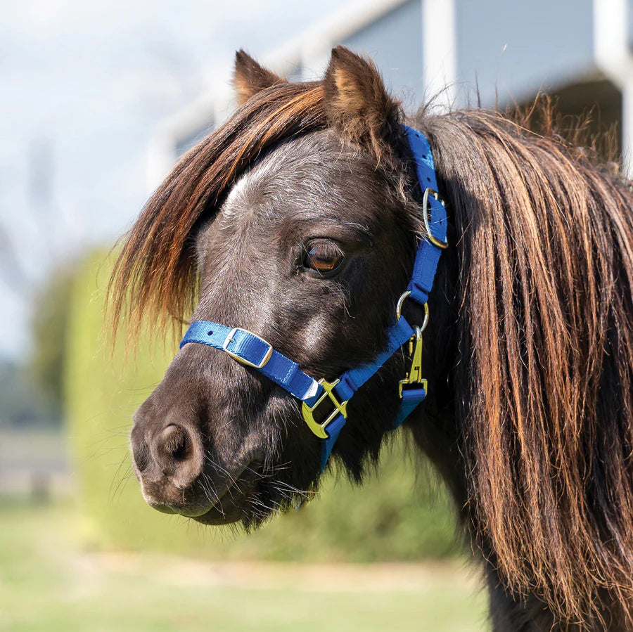 Eurohunter Halter Mini Horse