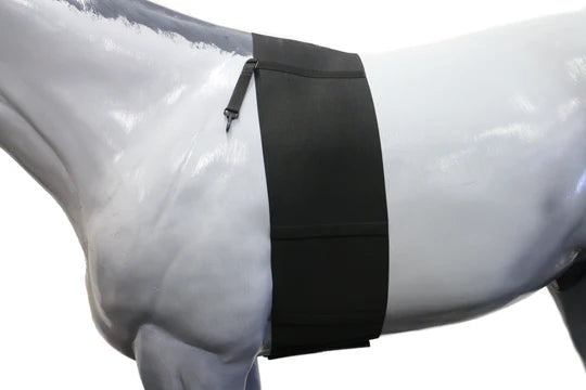 Elastic Belly Bandage Full