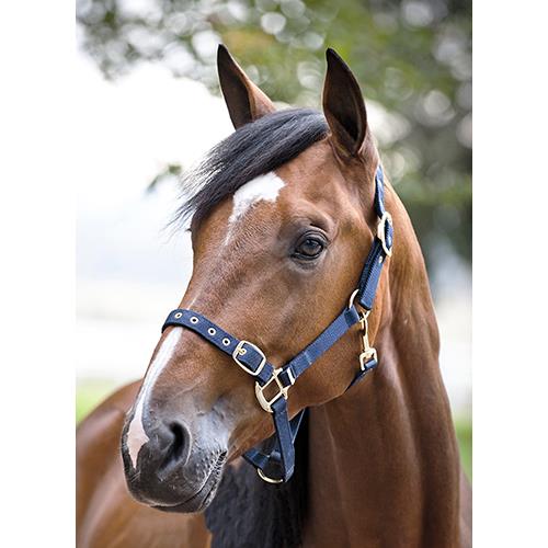 Horze Open Nose Halter