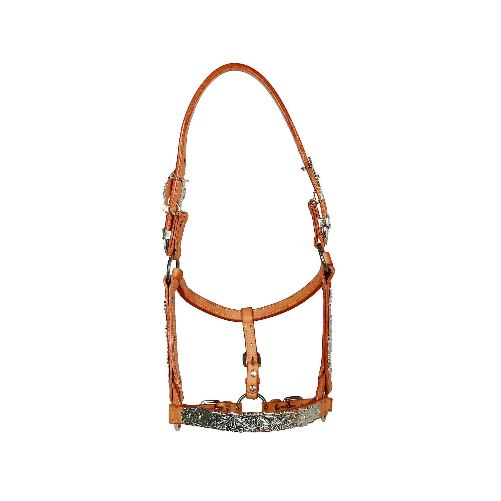https://cdn.shopify.com/s/files/1/0563/8035/8816/products/MG_6147copy.jpg?v=1651455416