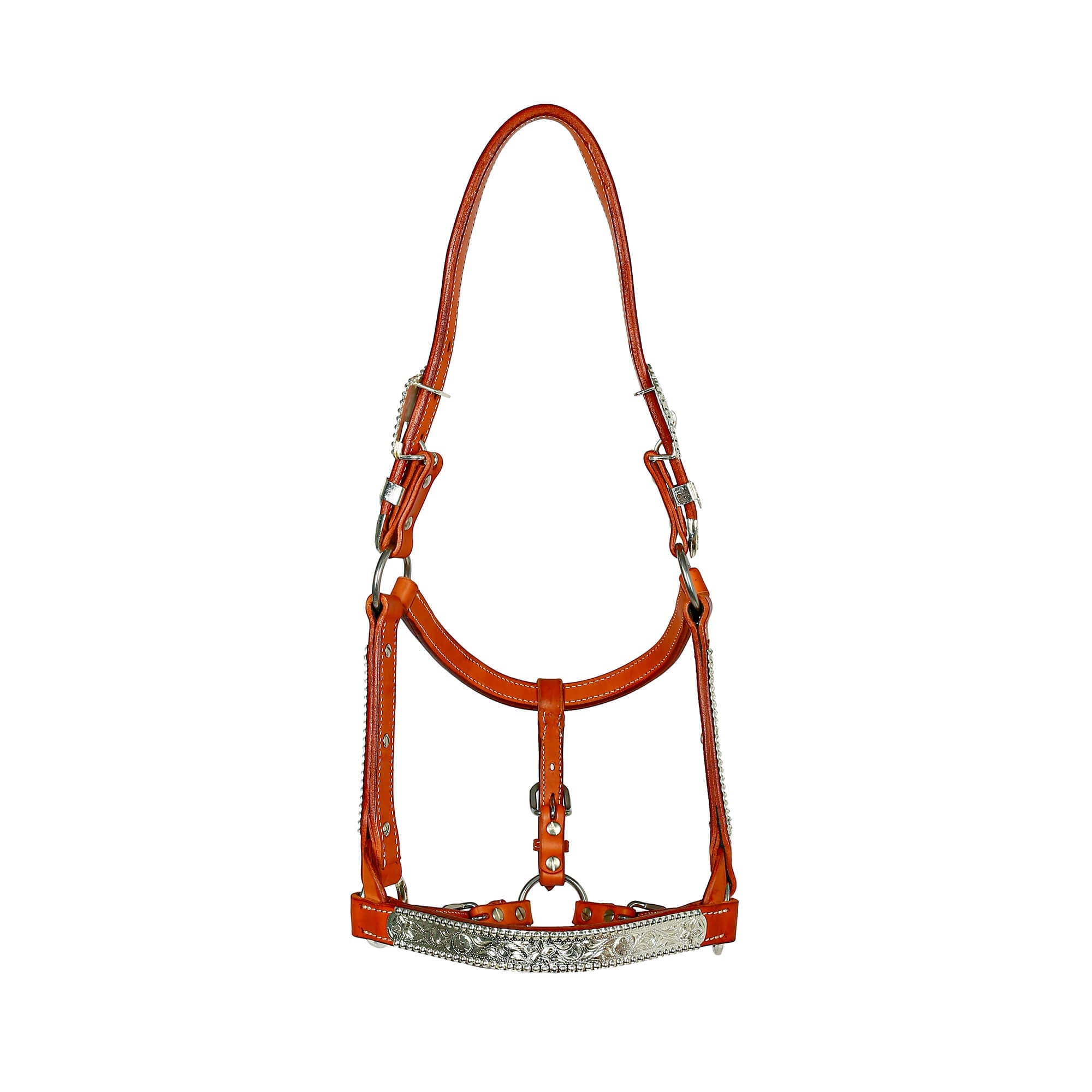 https://cdn.shopify.com/s/files/1/0563/8035/8816/products/MG_6166copy.jpg?v=1651454475