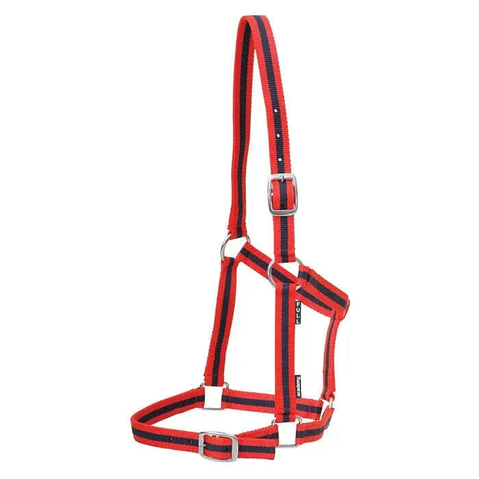 Academy Web Halter