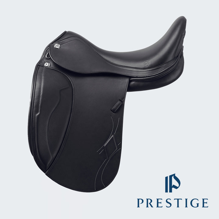 https://cdn.shopify.com/s/files/1/0053/6612/0551/products/PrestigePhilosophy.jpg?v=1678844695