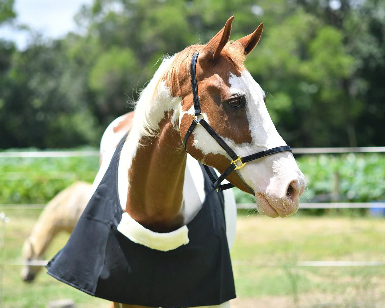 STC Cotton Drill Rug Bib