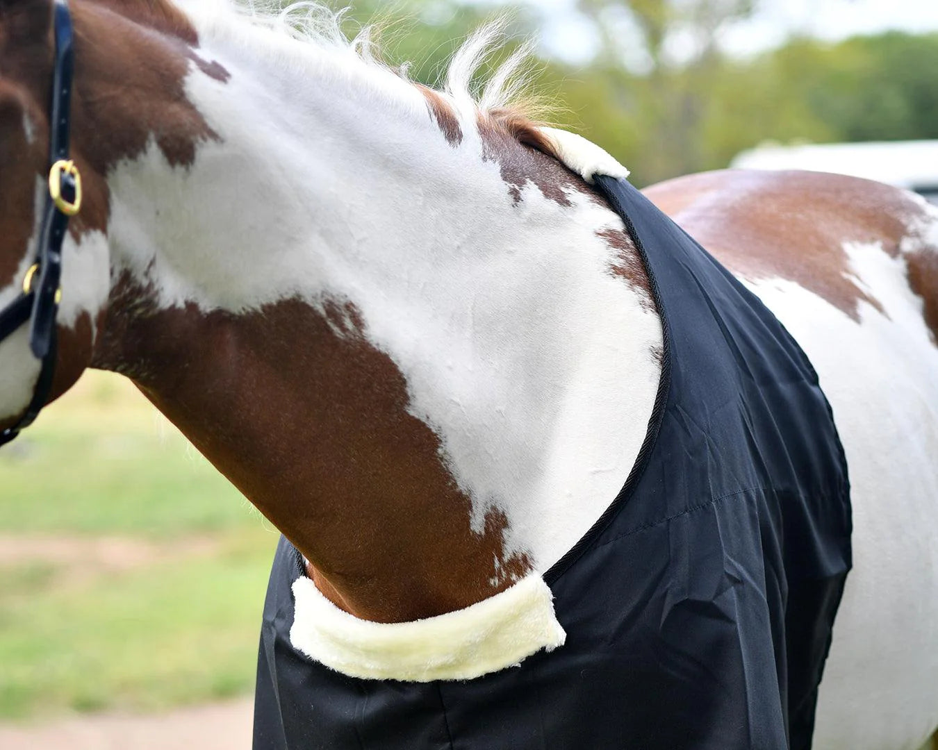 STC Cotton Drill Rug Bib