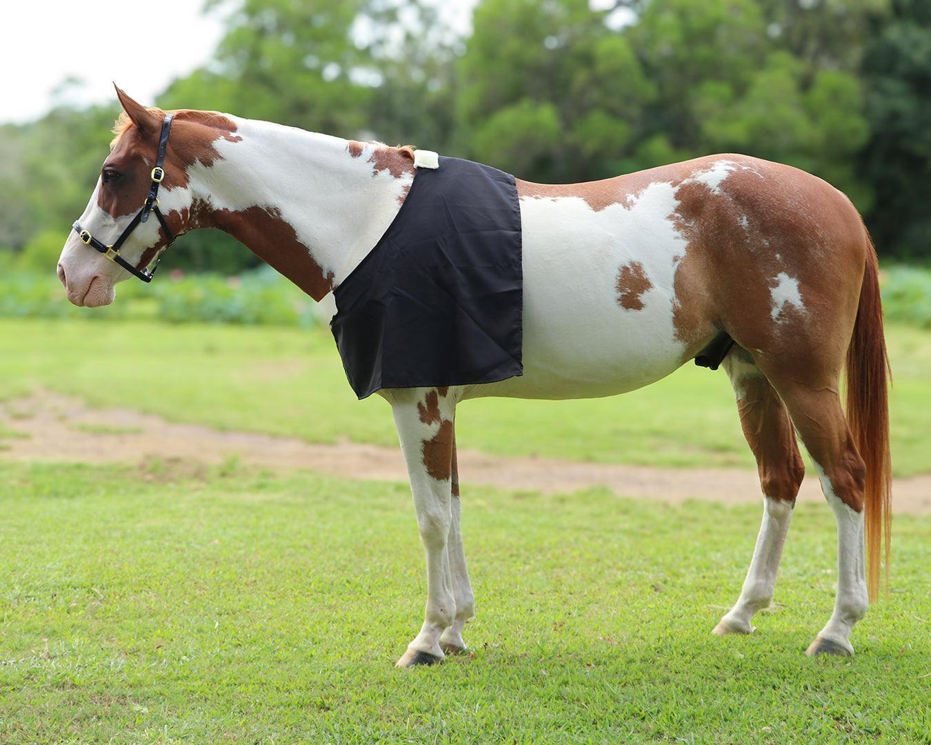 STC Cotton Drill Rug Bib