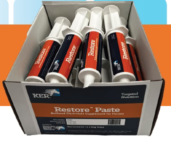 KER Restore Paste 60g Twin Pack