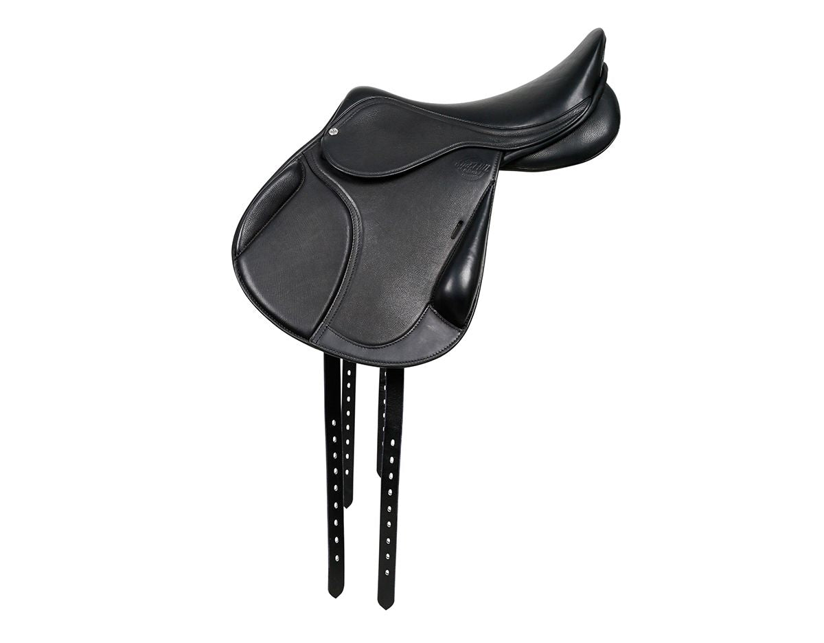 https://cdn.shopify.com/s/files/1/0563/8035/8816/products/SHRegalMonoJump20.jpg?v=1746080603