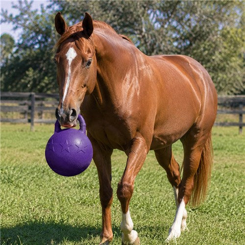Horsemaster 10 inch Horse Ball