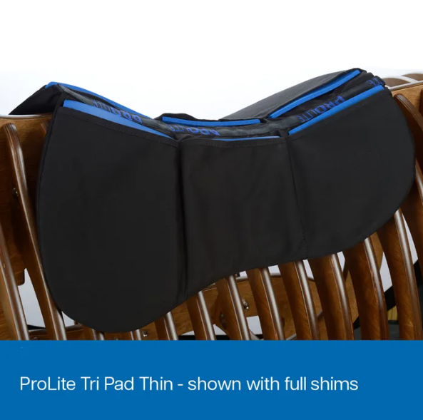 Prolite Dressage Tri Pad (Thin)