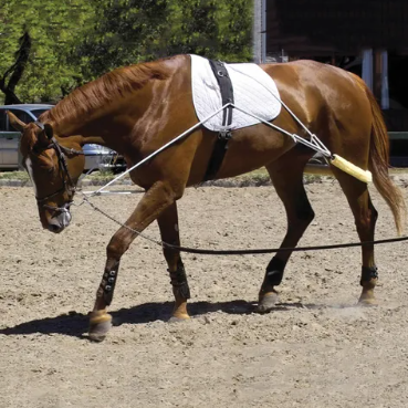 Pessoa Training System