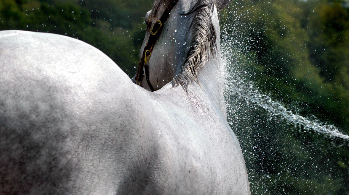 Equidae Relax & Revitalise Magnesium Oil For Horses (Magnesium Oil) 500ml