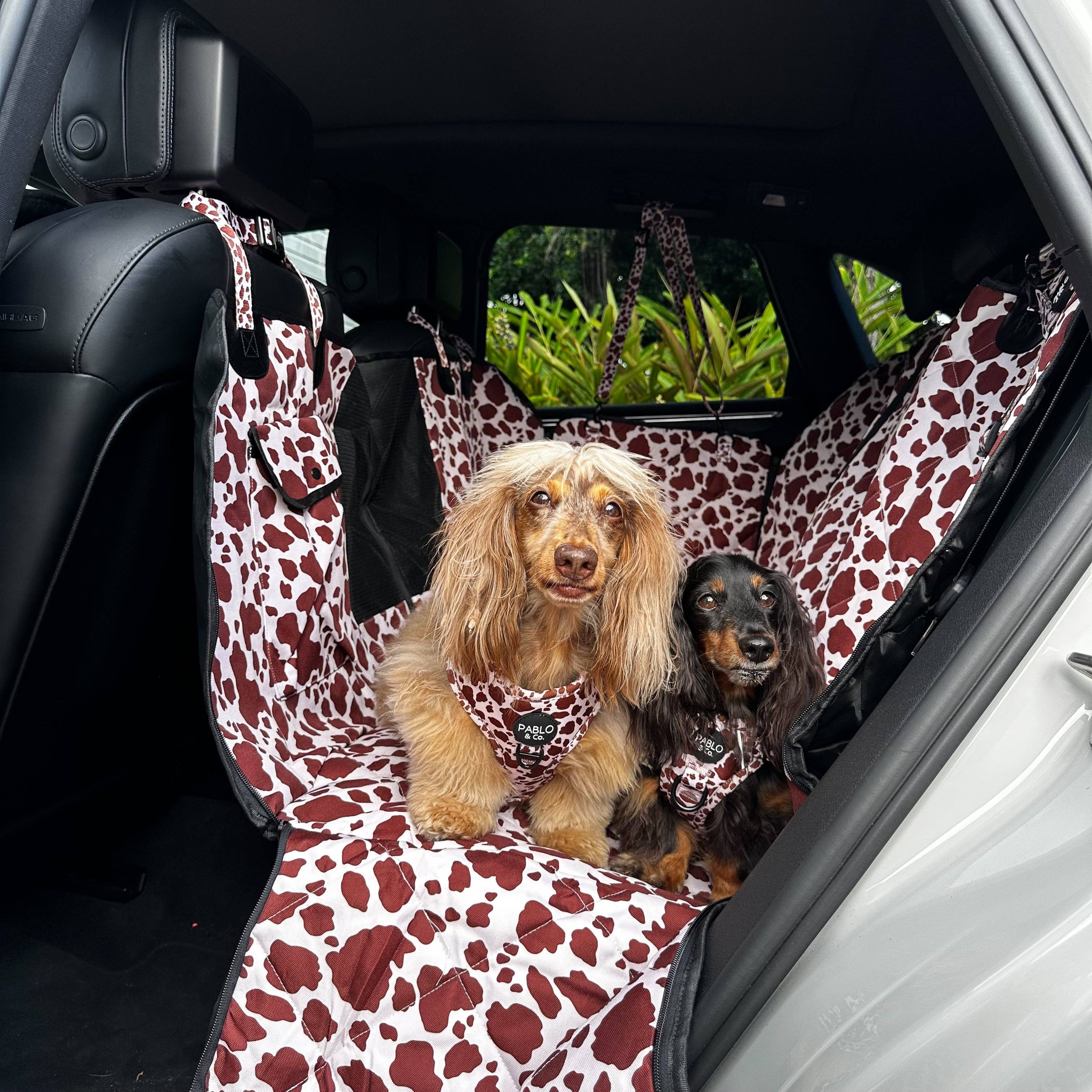 Rodeo: Deluxe Hammock Car Seat Cover