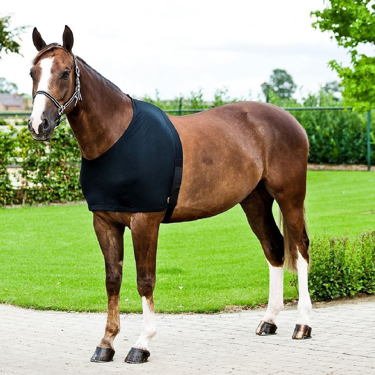 Horze Comforce Shoulder Rug Black