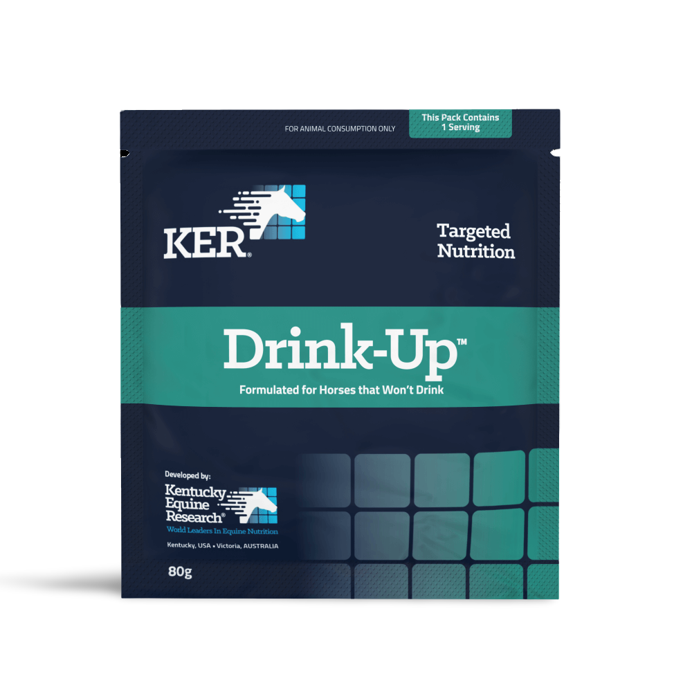 KER Drink Up 80g Sachet