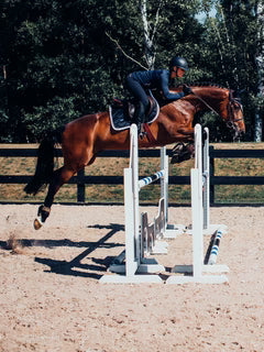Equestrian Stockholm Jump Saddle Pad Midnight White Edge
