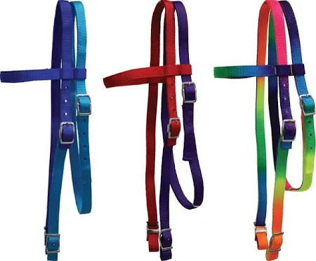 Fort Worth Nylon Headstall Red/Purple Cob