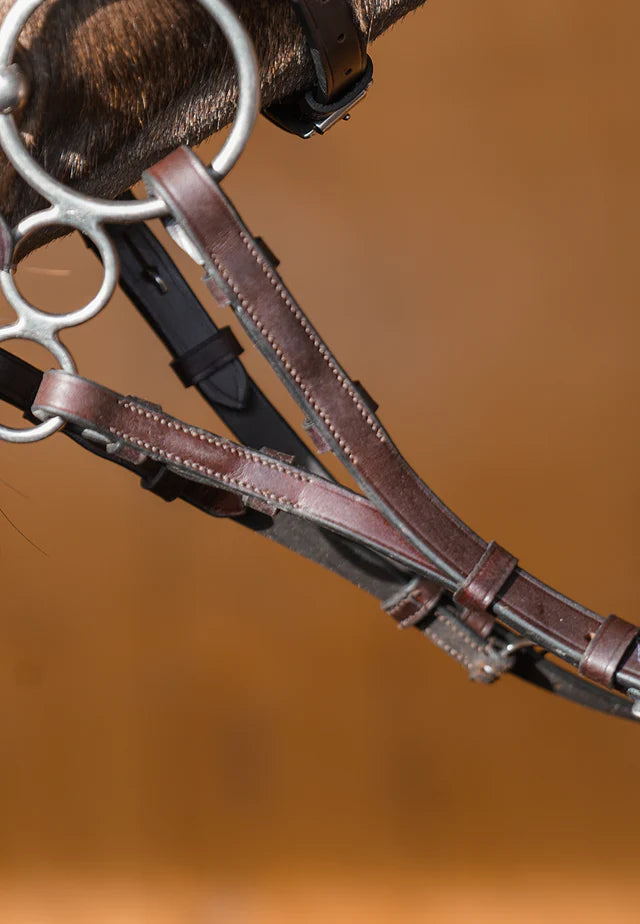 Hinterland Forked / Split Reins