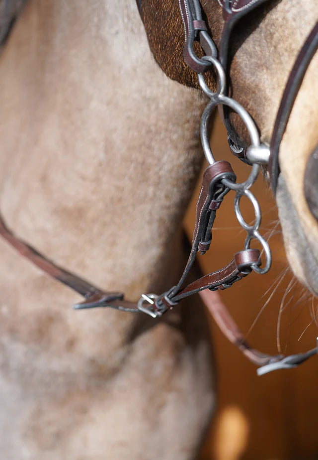 Hinterland Forked / Split Reins